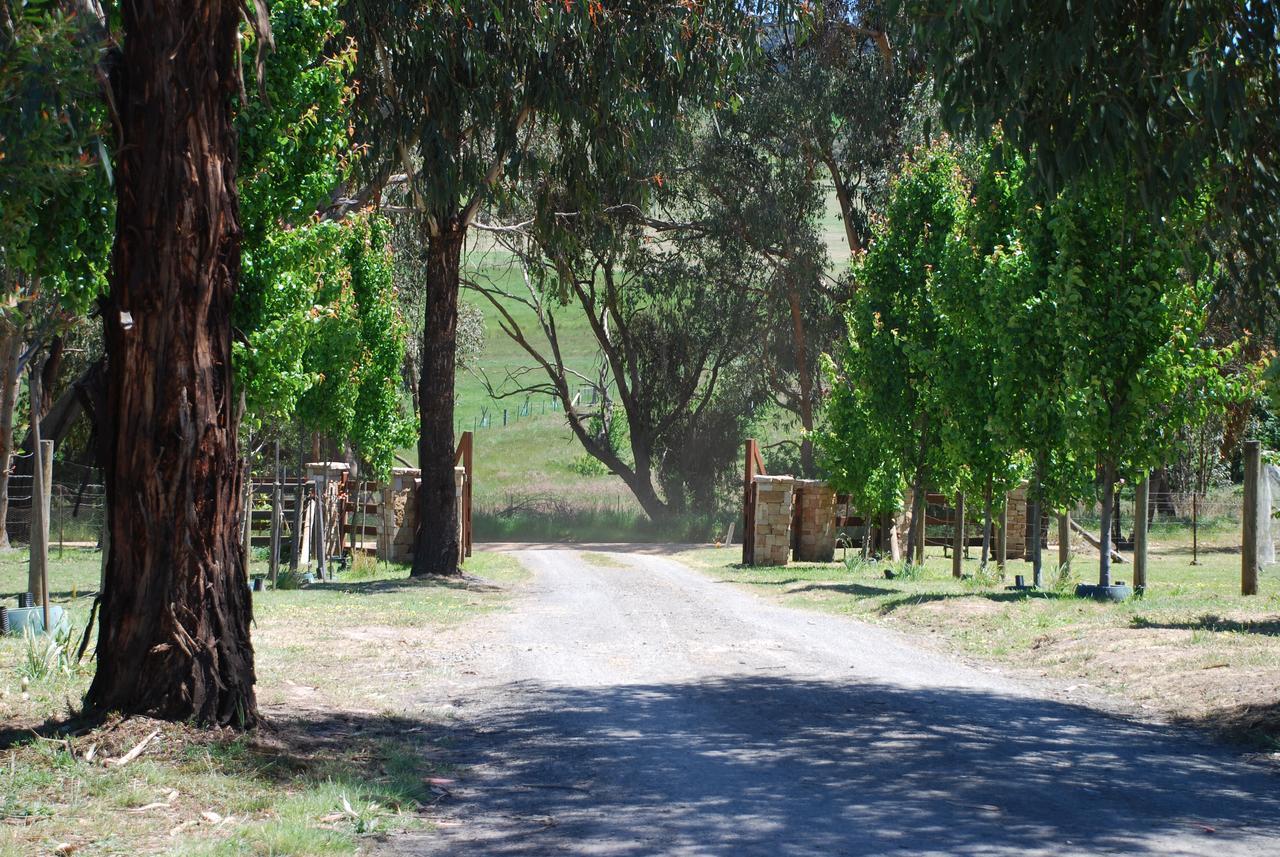 ميريجيغ Bluegum Ridge Cottages المظهر الخارجي الصورة