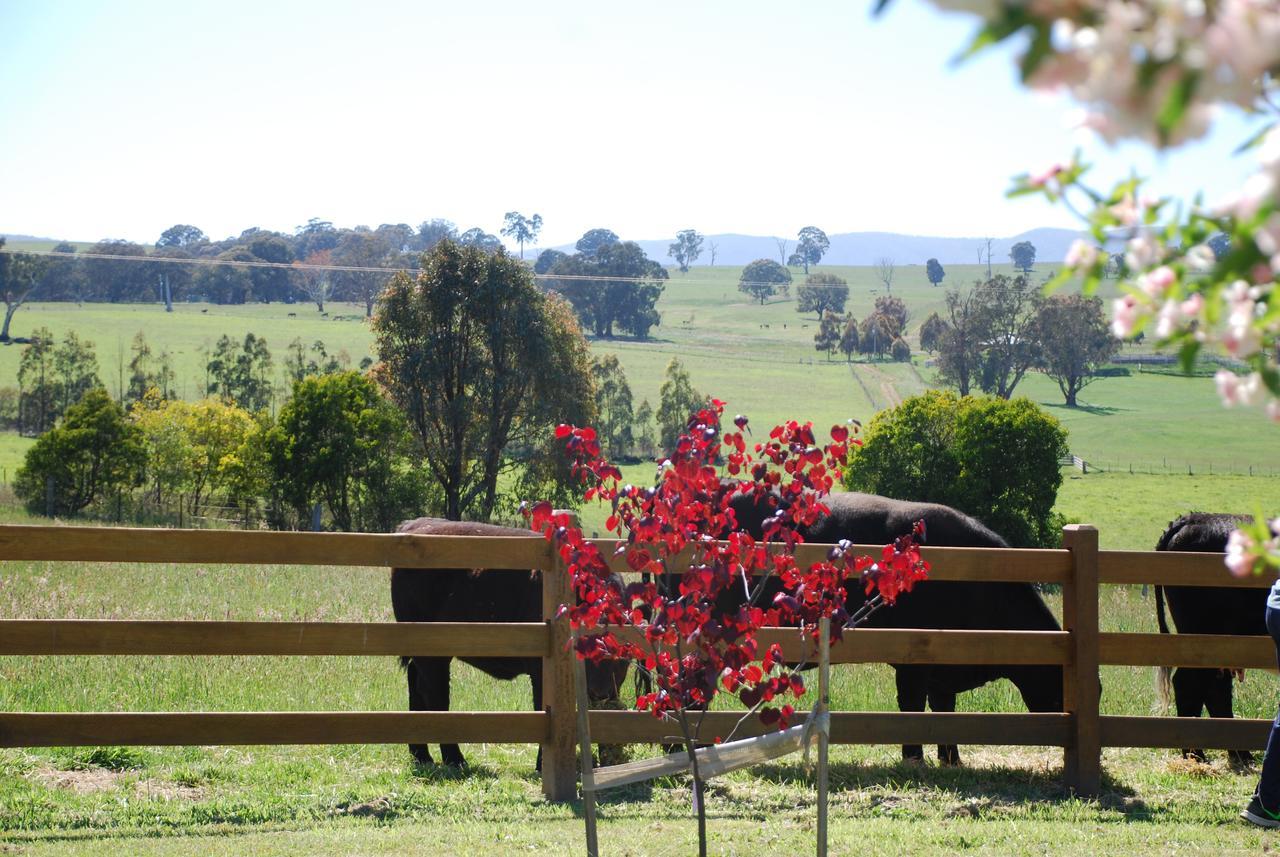 ميريجيغ Bluegum Ridge Cottages المظهر الخارجي الصورة