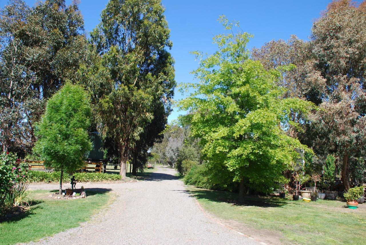 ميريجيغ Bluegum Ridge Cottages المظهر الخارجي الصورة
