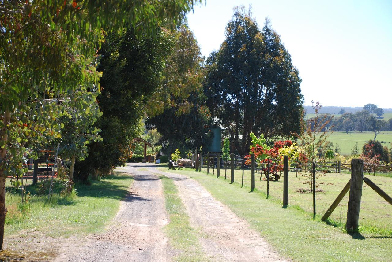 ميريجيغ Bluegum Ridge Cottages المظهر الخارجي الصورة