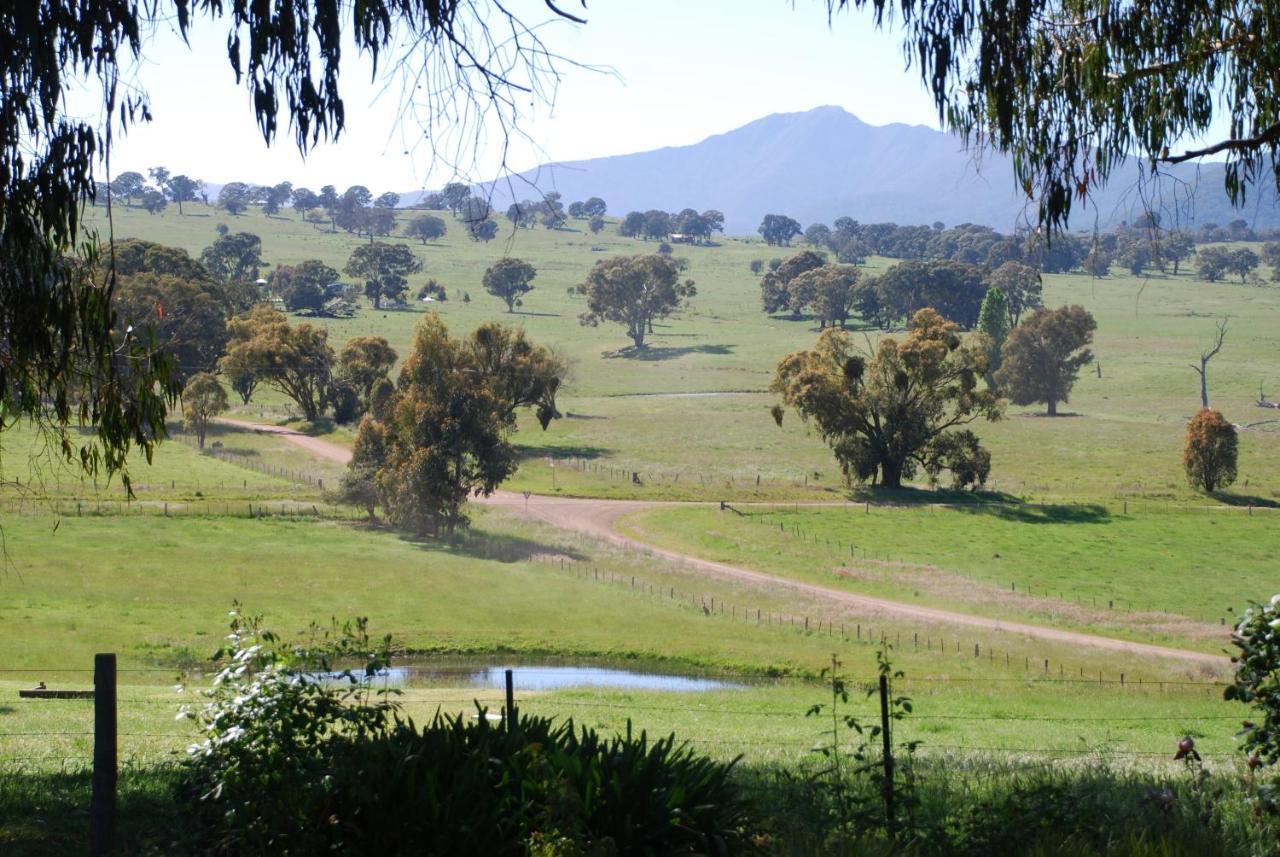 ميريجيغ Bluegum Ridge Cottages الغرفة الصورة