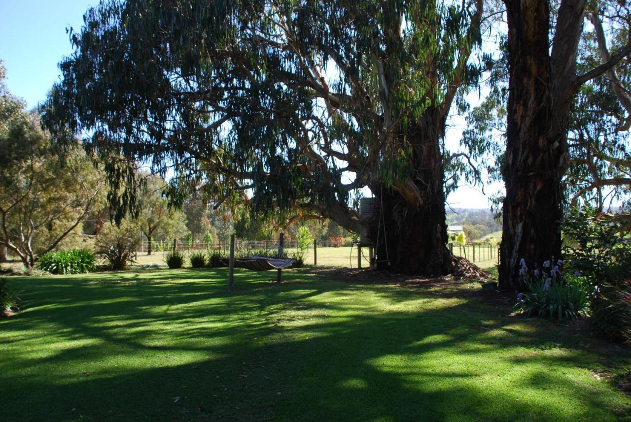 ميريجيغ Bluegum Ridge Cottages الغرفة الصورة