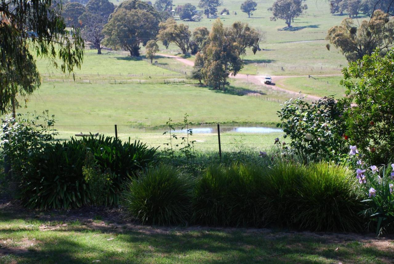 ميريجيغ Bluegum Ridge Cottages الغرفة الصورة